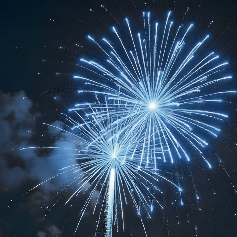 Bonne année 2